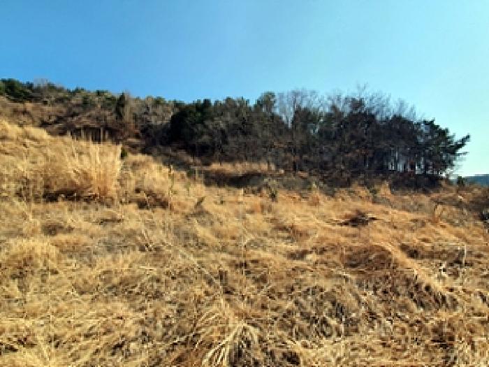 기호7 및 주변전경