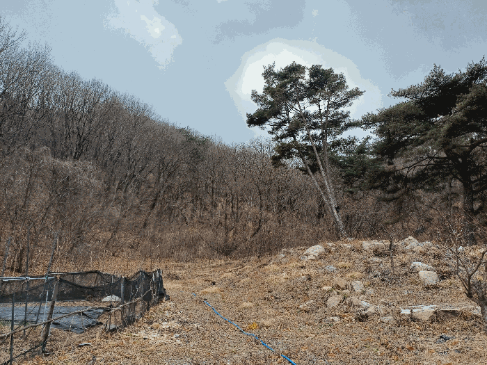 본건