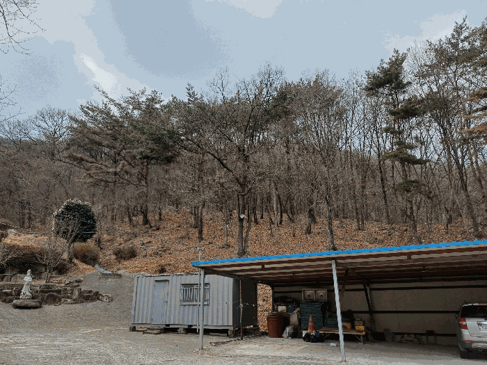 본건