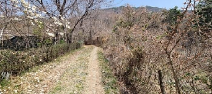 본건1.2.3.5.토지 진입로 전경