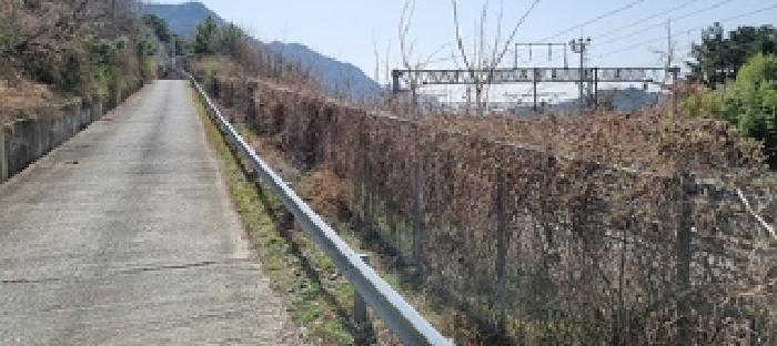 본건4.토지 진입로 전경