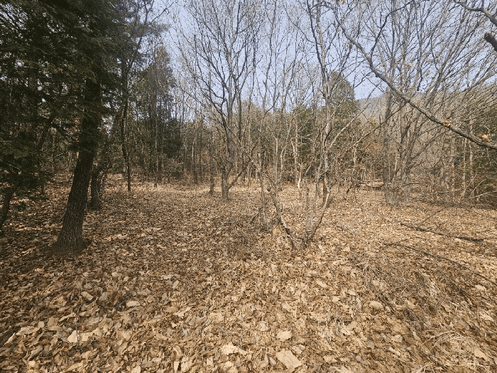일련번호(5) 전경