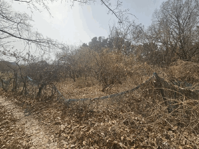 일련번호(1) 전경
