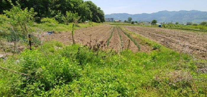 기호3,4,5,6,7 토지 및 주변전경