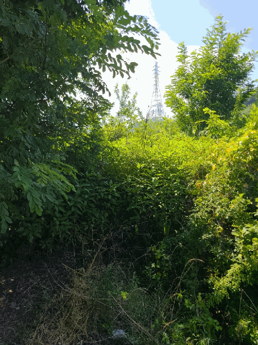 기호(1): 북측 인접 촬영