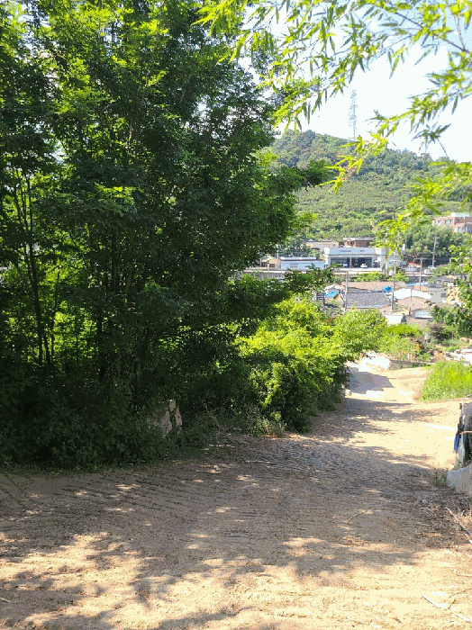 기호(1): 서측 진입로