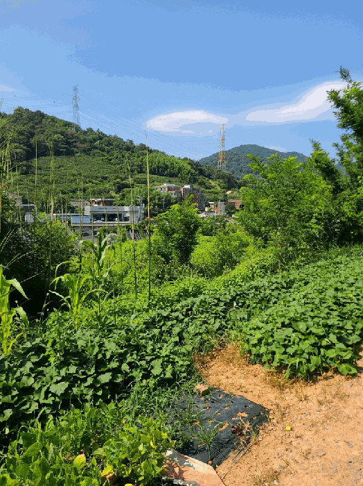기호(1): 북동측 인접 촬영