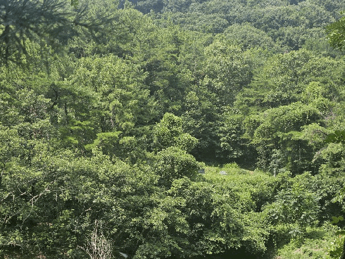 본건 전경
