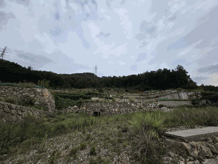 대상물건