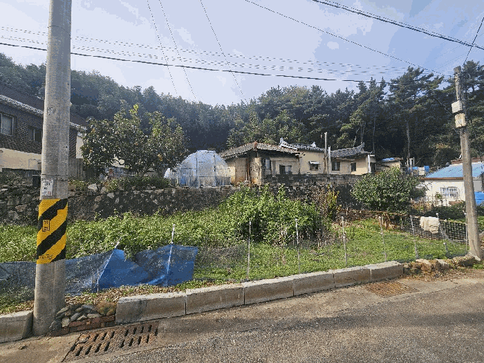 본건 전경