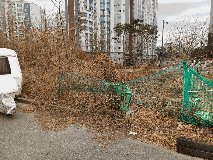 본건