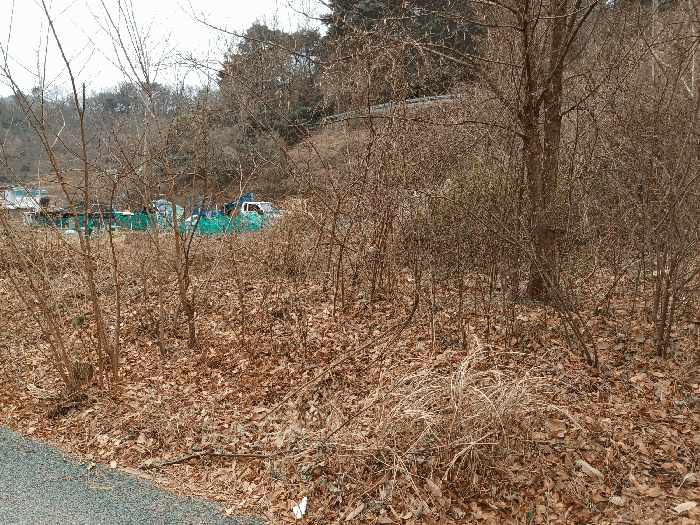 본건