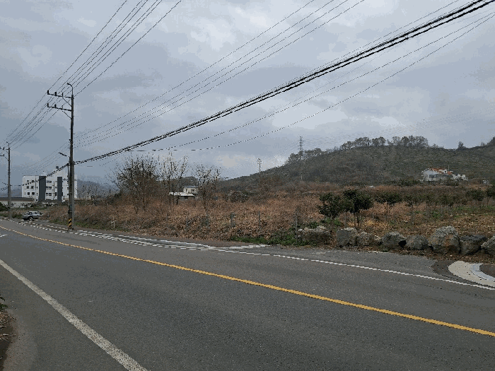 본 건 전 경
