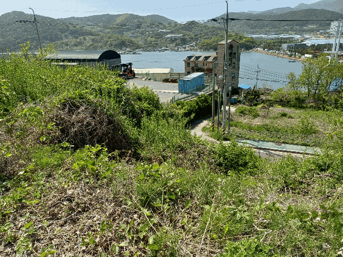 본건 2
