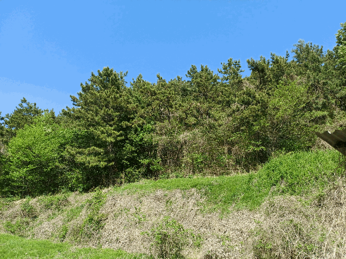 본건 5