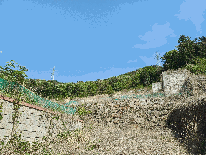 본건 12,13