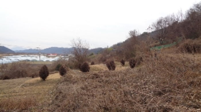 본건1,2 전경