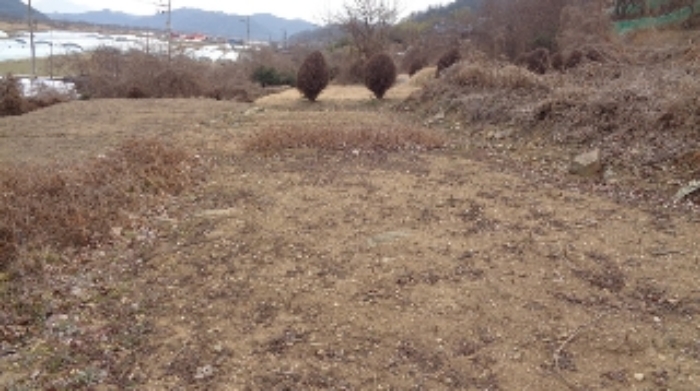 본건1