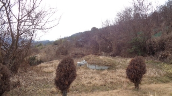 본건2 전경