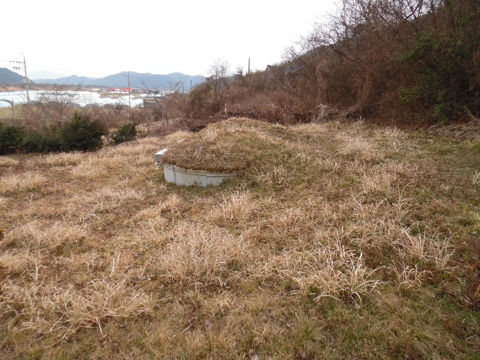 일련번호 1