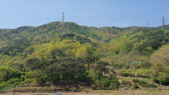 본건1~3 및 주변 전경