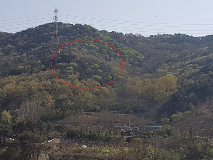 본건 전경