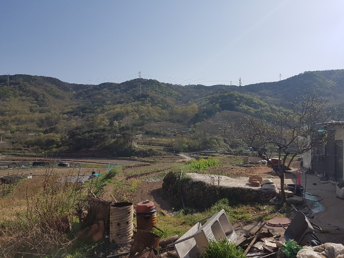 본건 전경 및 주위환경