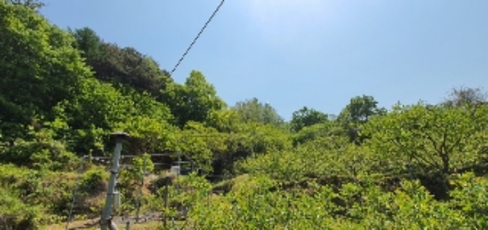 본건3~5 전경