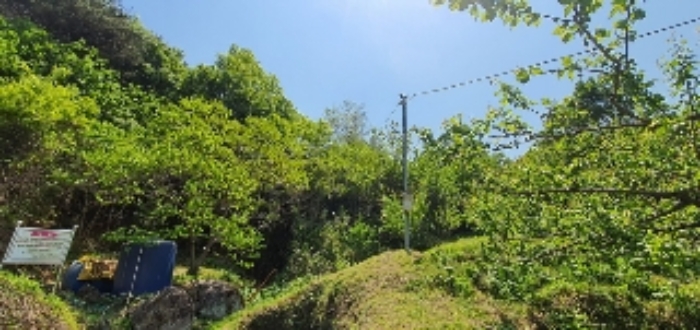 본건3~5