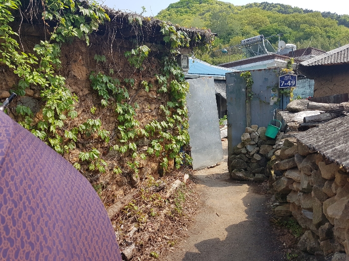 일련번호1 전경