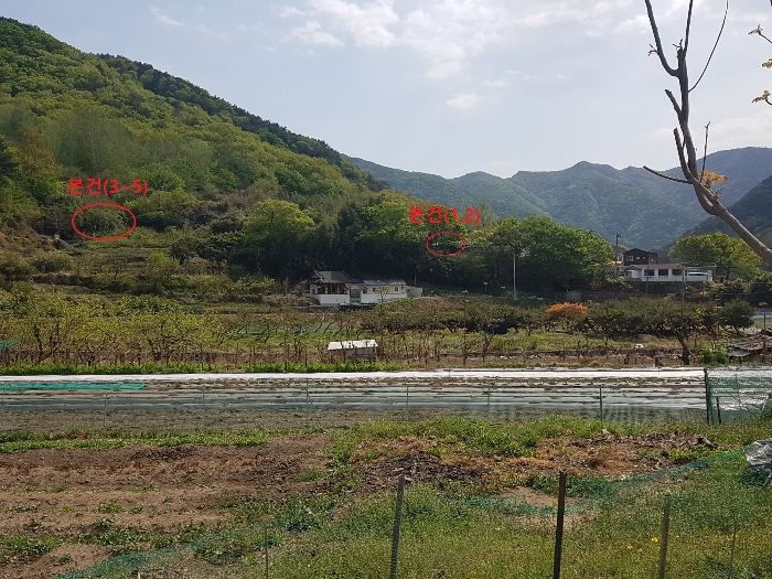 본건 전경 및 주위환경