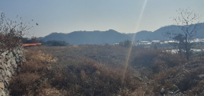 본건6