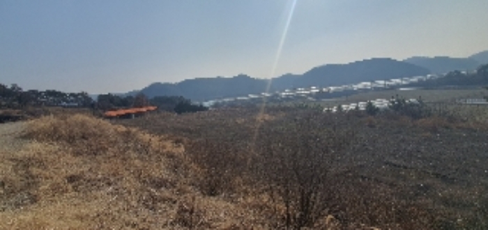 본건6
