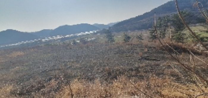 본건6