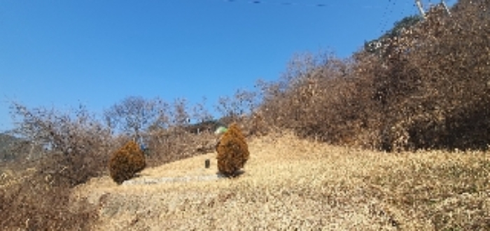 본건3