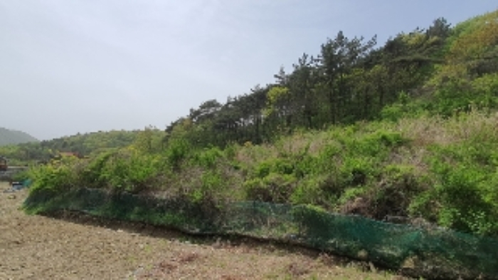 본건2 및 주변