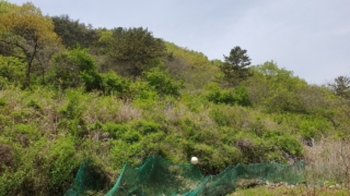 본건3 및 주변