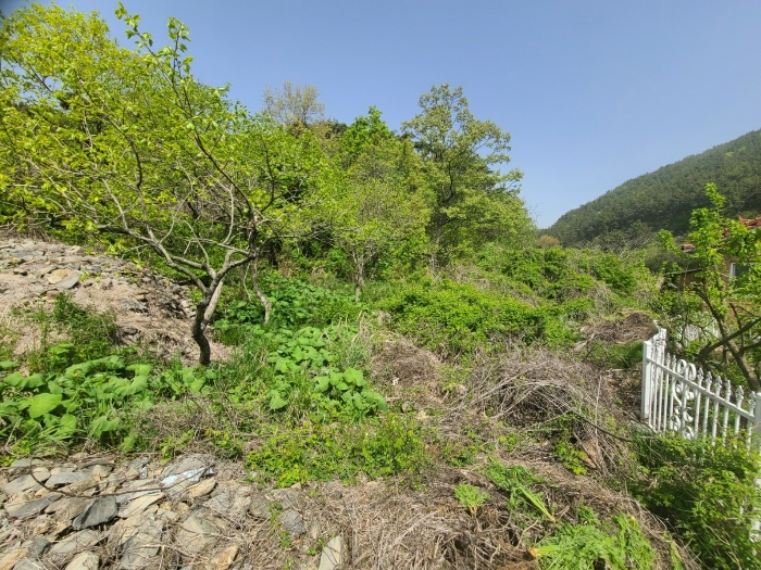 일련번호1 전경