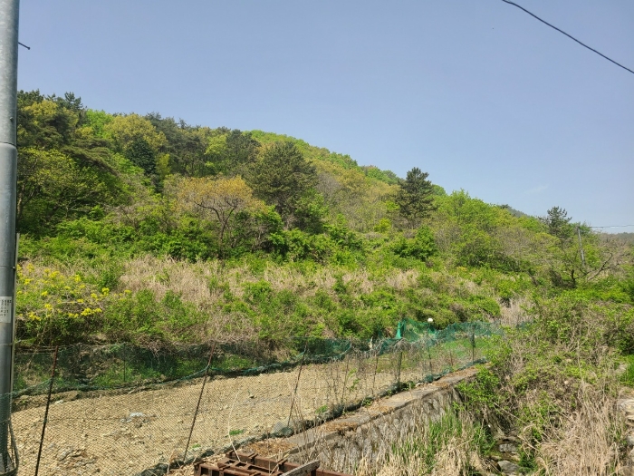 일련번호3 전경