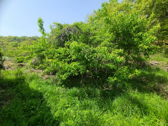 일련번호1 전경