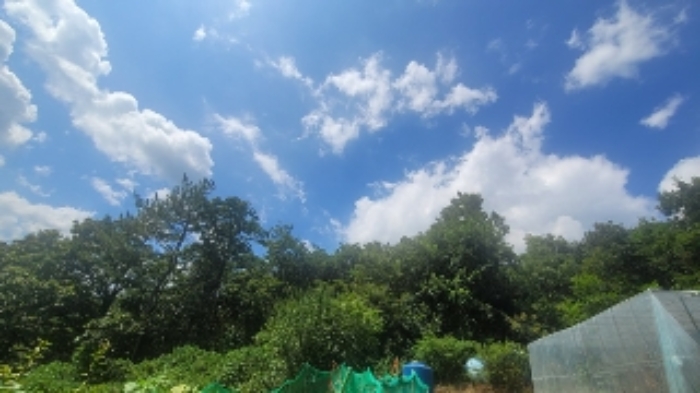 본건 및 주변