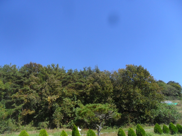 본건전경