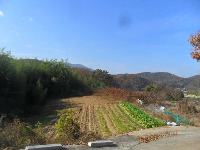 본건전경 기호1