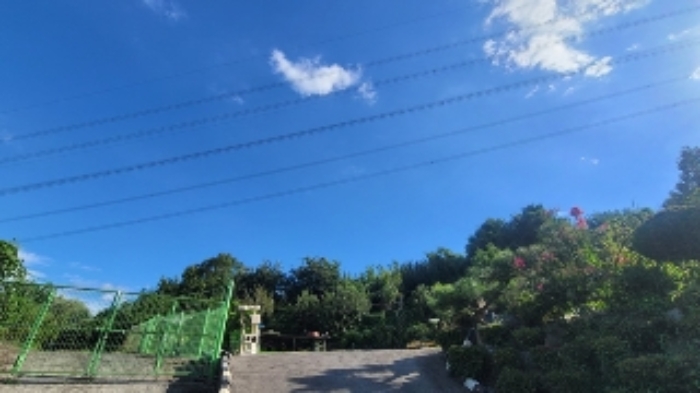 본건1,2 및 주변