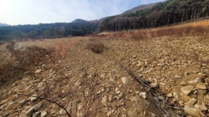 본건1 내부