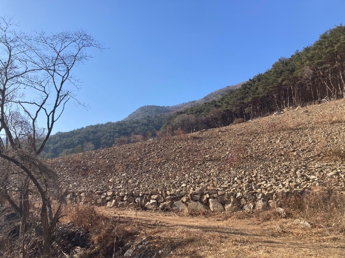 본건 기호(1)토지 전경