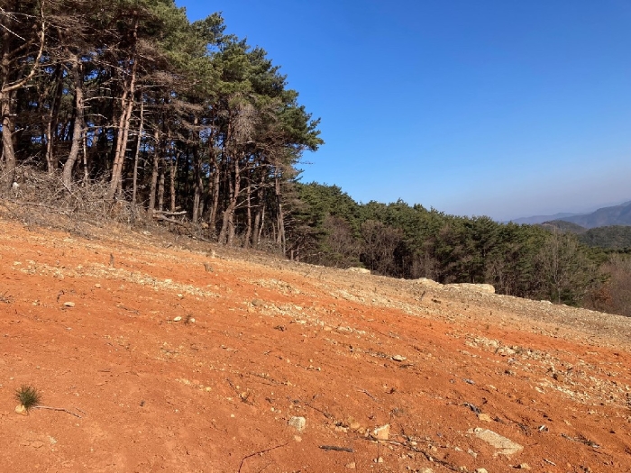 본건 기호(1)토지 전경