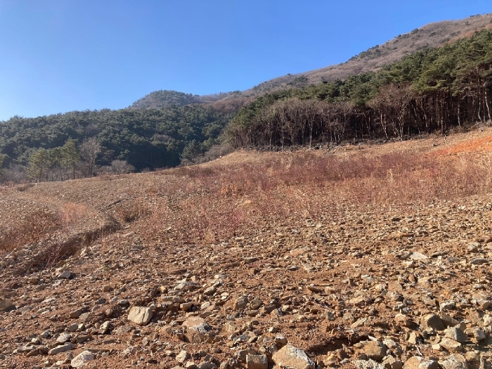 본건 기호(1)토지 전경