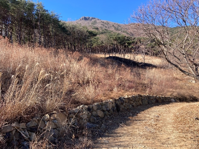 본건 기호(2)토지 전경