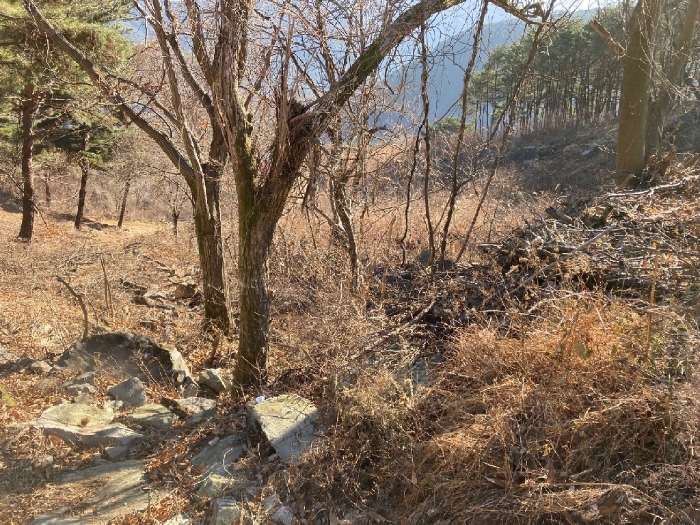 본건 기호(2)토지 전경